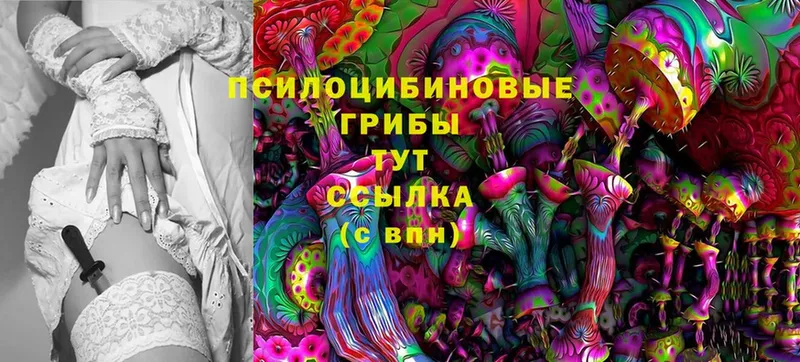 Псилоцибиновые грибы Cubensis  Лянтор 